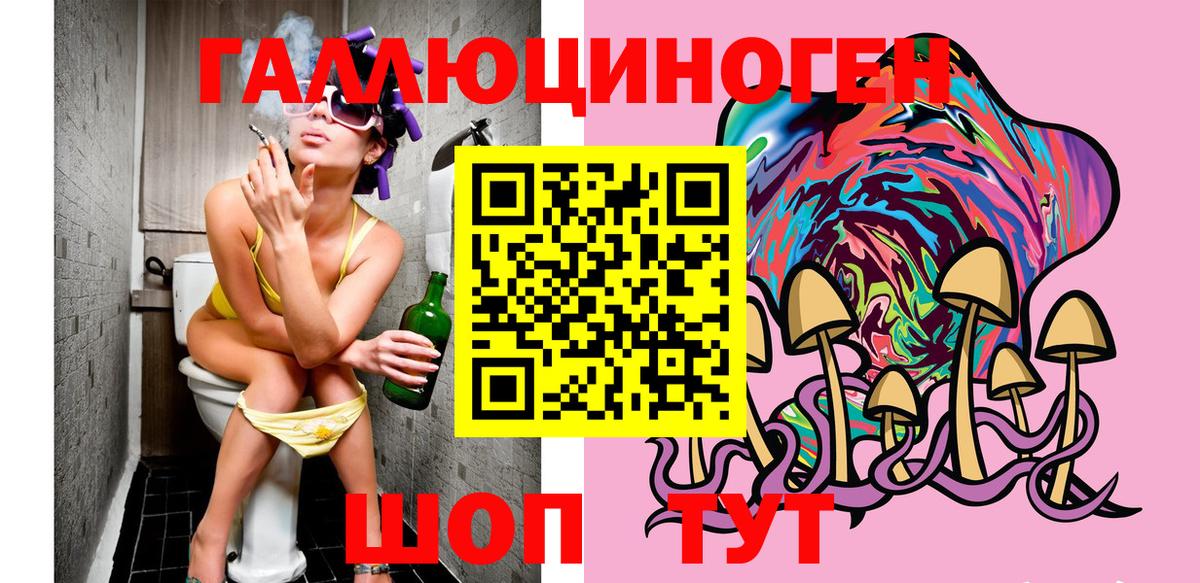 Галлюциногенные грибы прущие грибы Губкинский