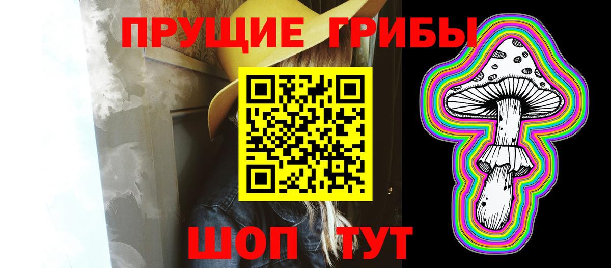 Псилоцибиновые грибы Psilocybine cubensis  Вход с VPN  Псилоцибиновые грибы Cubensis  Губкинский 