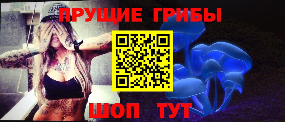 ГАШ Губкинский